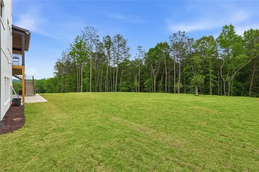 Lawn with trees beyond the backyard